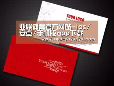 项目名称一