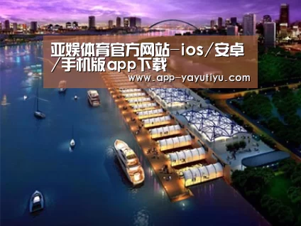 案例展示八